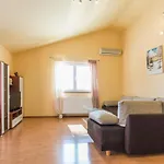 Stela Porec